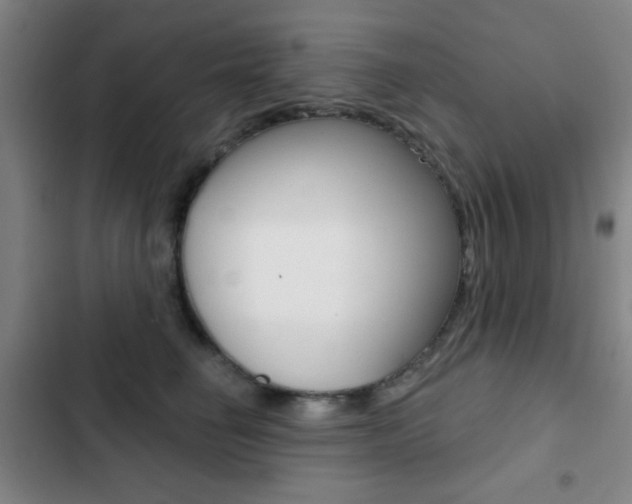 X0000103260662200808291044