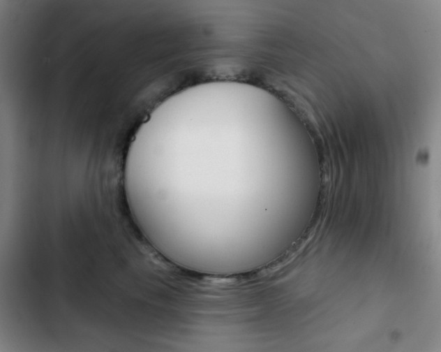X0000103260665200808291044