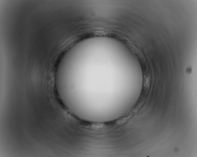 X0000103260666200808291044