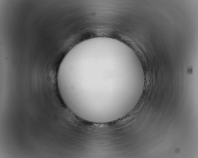 X0000103260667200808291044