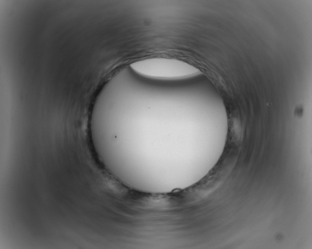 X0000103260668200808291044