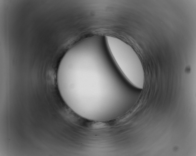 X0000103260669200808291044