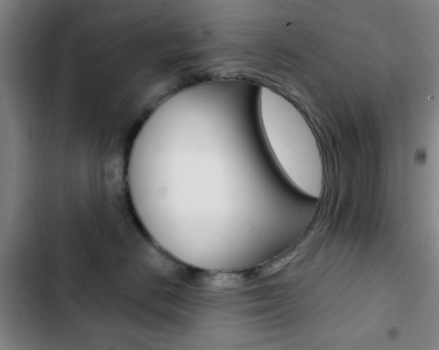 X0000103260670200808291044