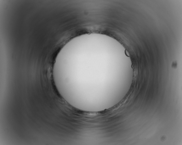 X0000103260671200808291044