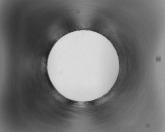 X0000103260672200808291044