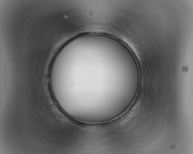 X0000103260673200808291043