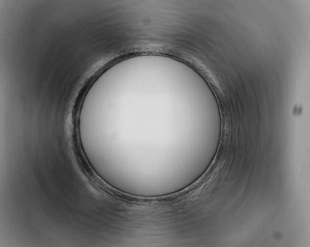 X0000103260674200808291043