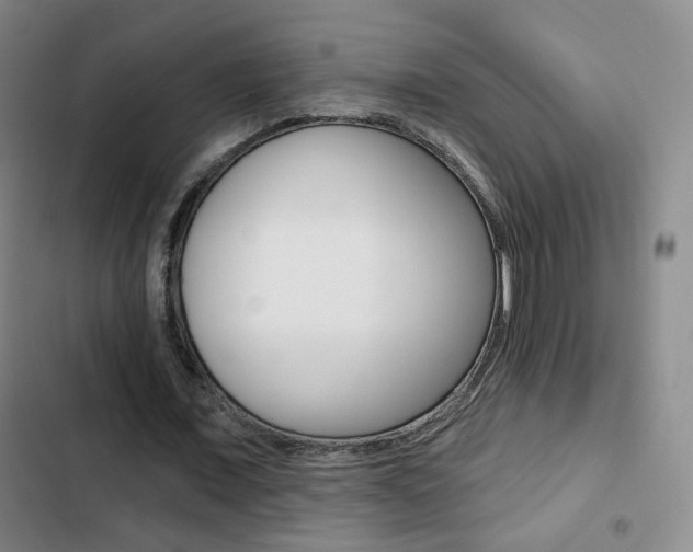 X0000103260675200808291043