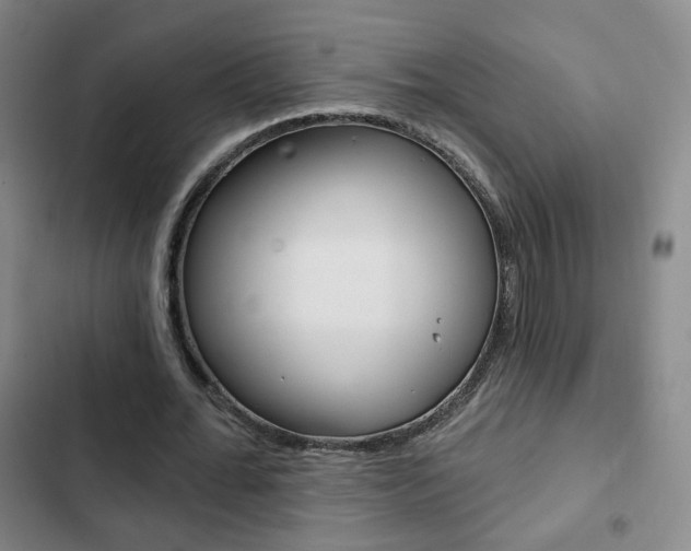 X0000103260676200808291043