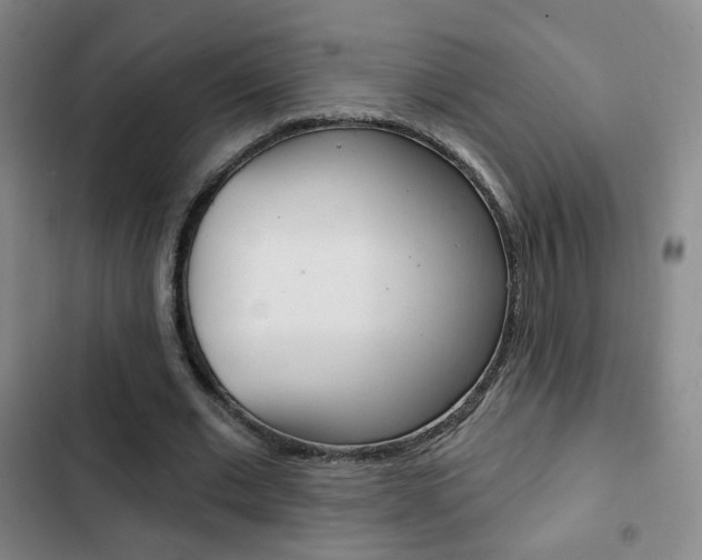 X0000103260677200808291043