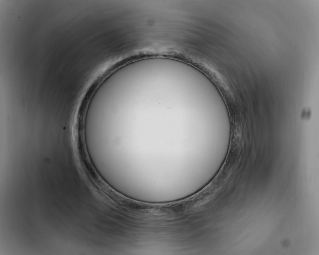 X0000103260678200808291043