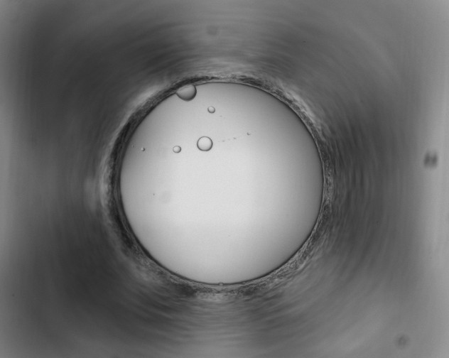 X0000103260679200808291043