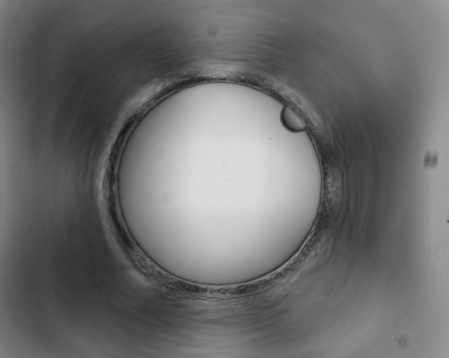 X0000103260682200808291043