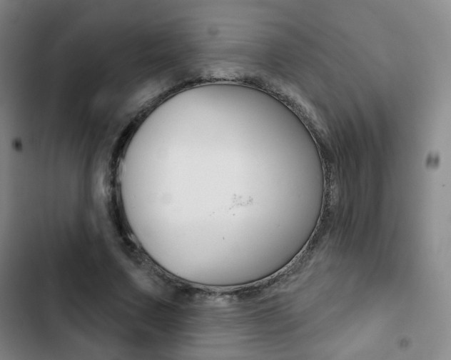 X0000103260683200808291043