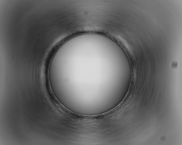 X0000103260684200808291043