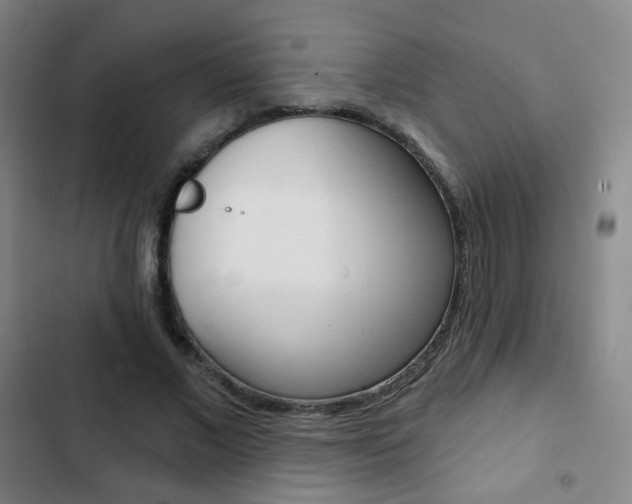 X0000103260685200808291043
