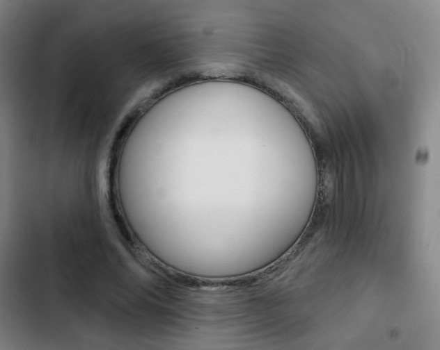 X0000103260686200808291043
