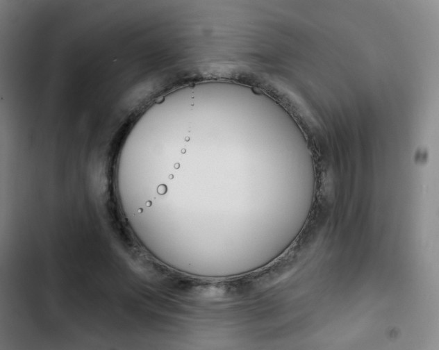 X0000103260687200808291043
