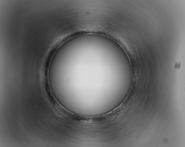 X0000103260688200808291043