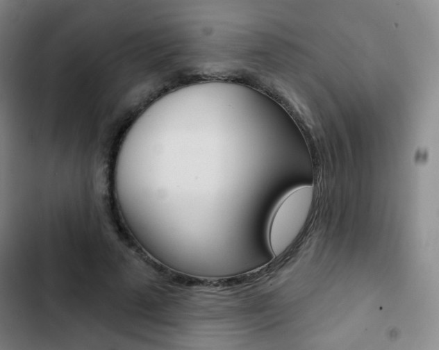 X0000103260689200808291043