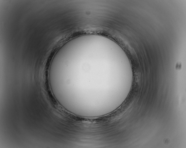 X0000103260690200808291043