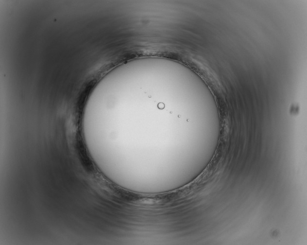 X0000103260691200808291043