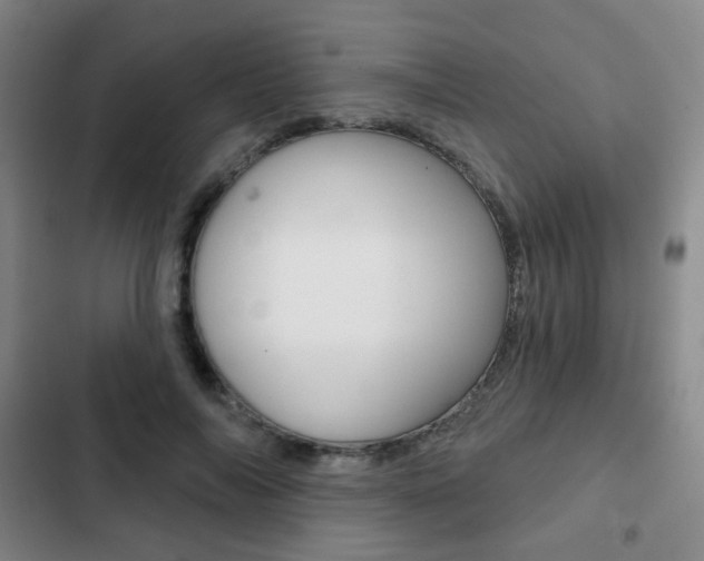 X0000103260694200808291043