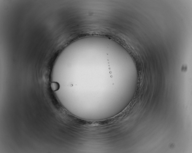 X0000103260695200808291043