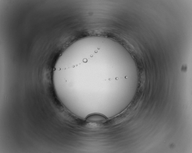X0000103260699200808291043
