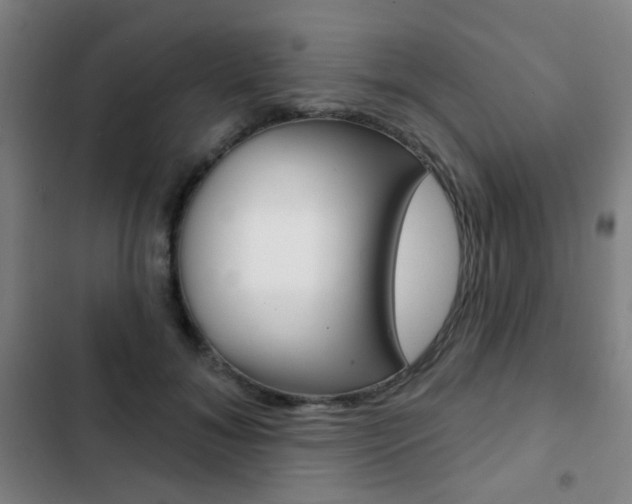 X0000103260700200808291043