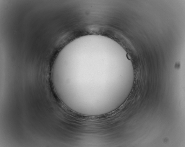 X0000103260702200808291043