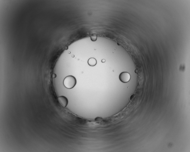 X0000103260703200808291043