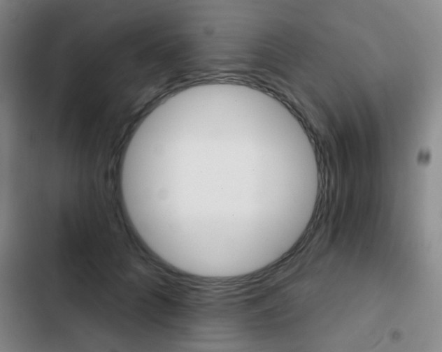 X0000103260704200808291043