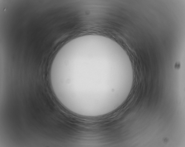 X0000103260705200808291043
