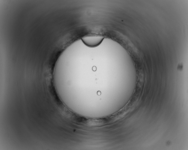 X0000103260707200808291043