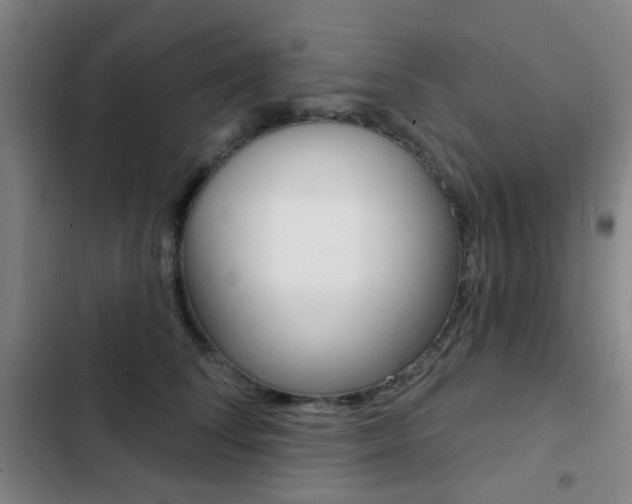 X0000103260708200808291043