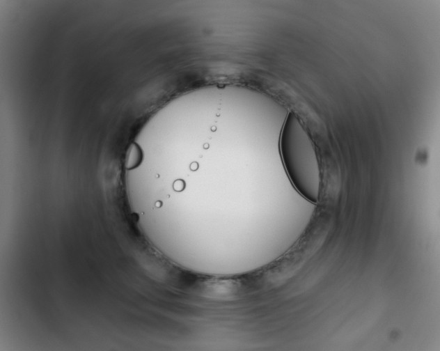 X0000103260711200808291043