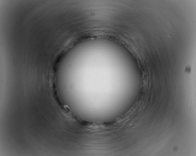 X0000103260712200808291043