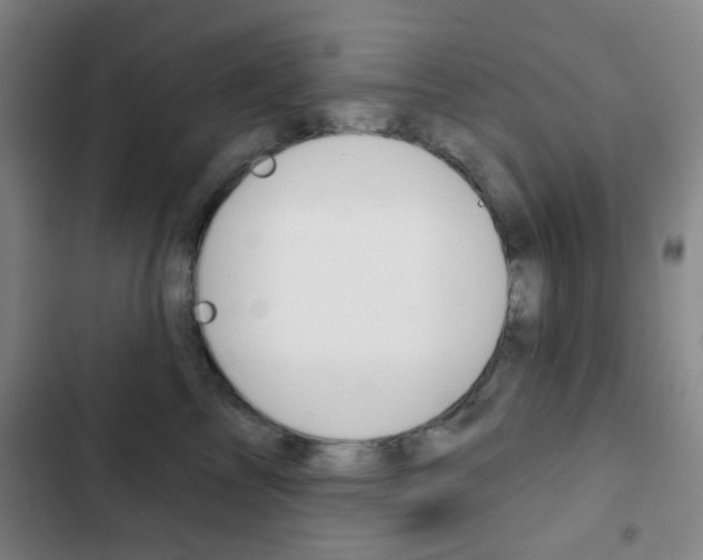 X0000103260713200808291043