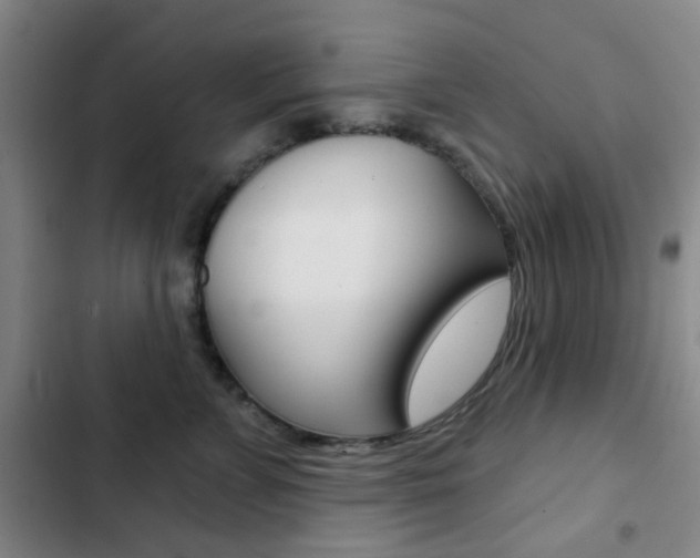 X0000103260715200808291043