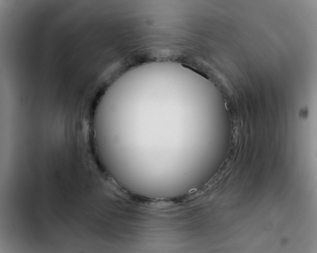 X0000103260716200808291043