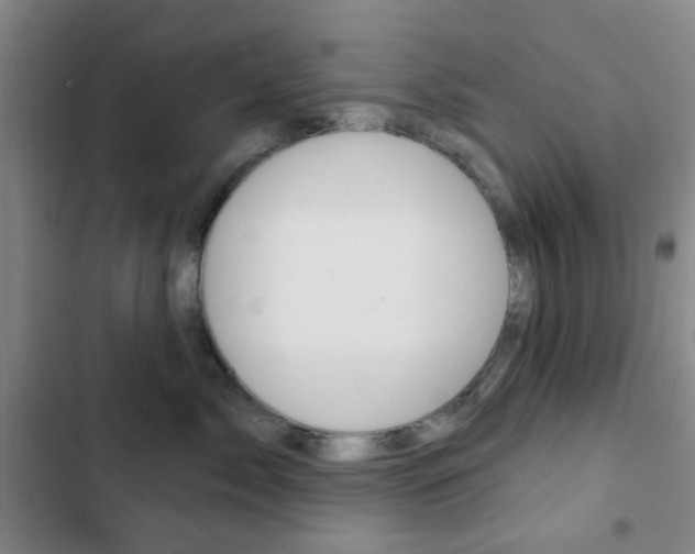 X0000103260717200808291042