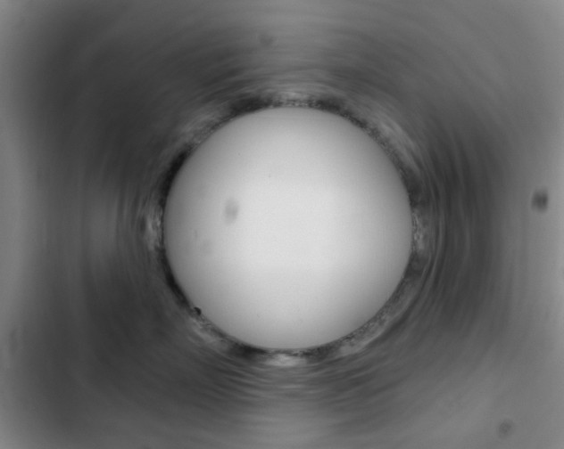X0000103260718200808291042
