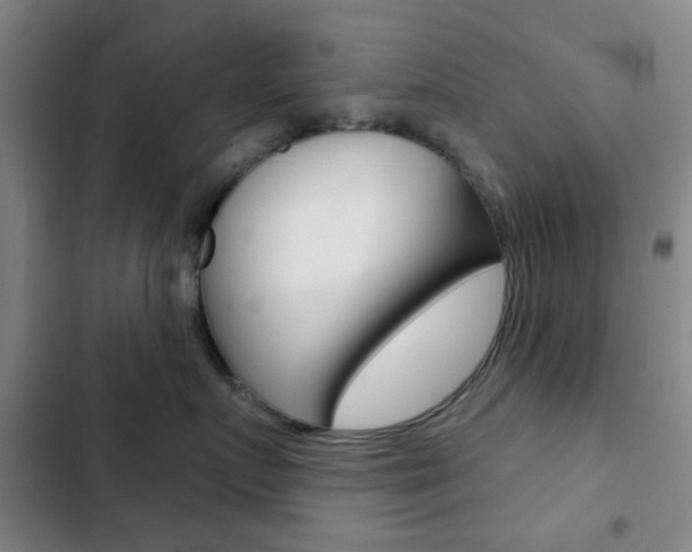 X0000103260719200808291042