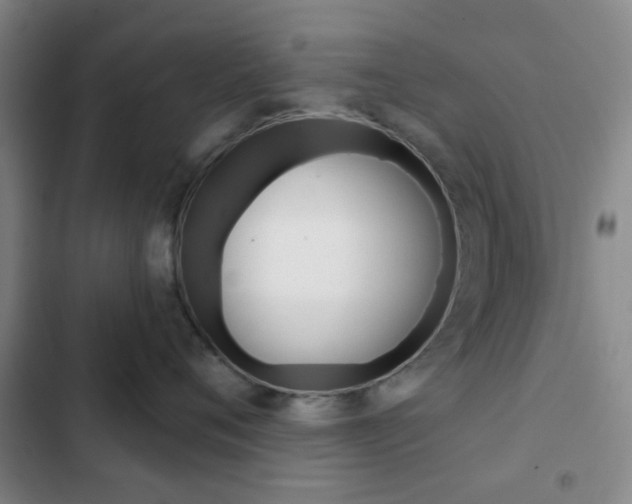 X0000103260720200808291042