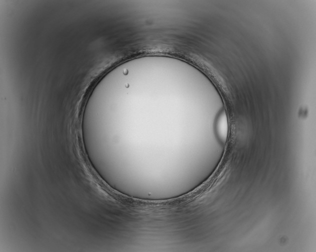 X0000103260721200808291042