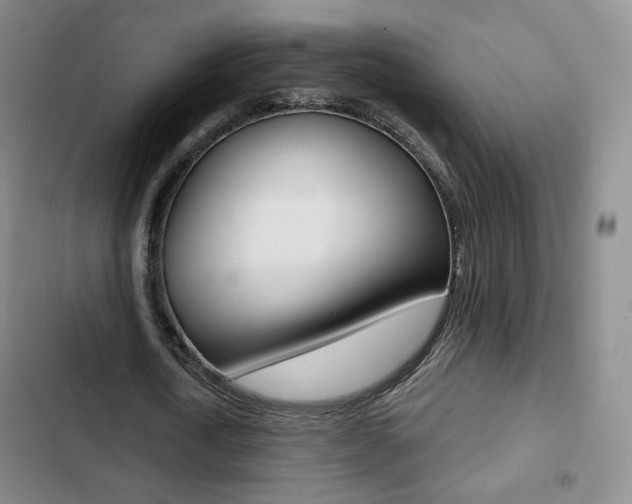 X0000103260722200808291042