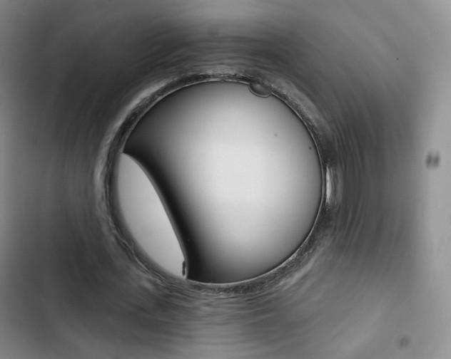 X0000103260723200808291042
