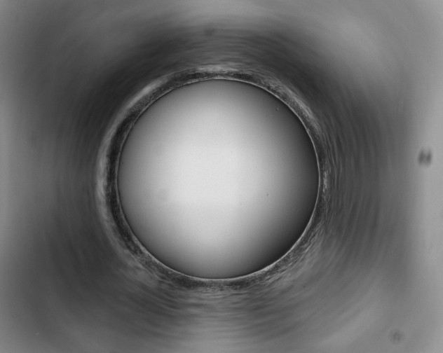 X0000103260724200808291042