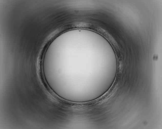 X0000103260725200808291042
